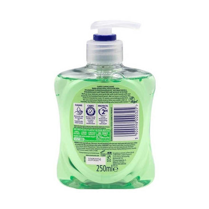 Carex Hand Wash Antibacterial Aloe Vera 250ml