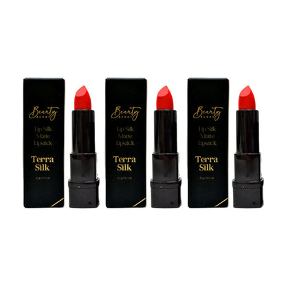 3x Beauty Buddy Lip Silk Matte Lipstick Terra Silk 3.2g