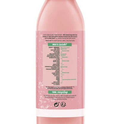Garnier Fructis Shampoo Watermelon Hair Food 350ml