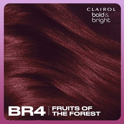 Clairol Permanent Hair Colour Bold & Bright Br4 Fruits Of The Forest