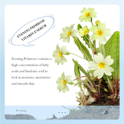 Sadoer Added VE & Evening Primrose Vitamin E Moisturizing Gel 300g