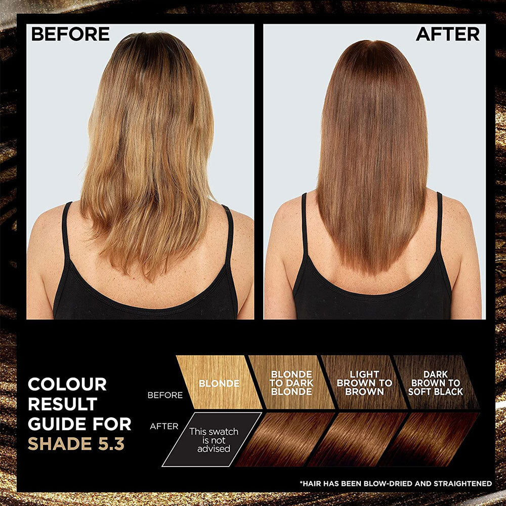 L'Oreal Preference Hair Color 5.3 Virginia Golden Brown