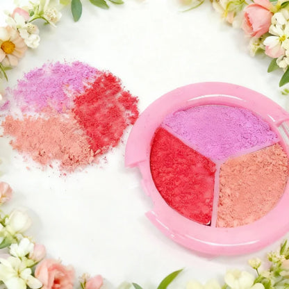 Beauty Buddy Eyeshadow & Blush Trio Pink Drift